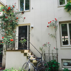 Day-trip Den Bosch 17