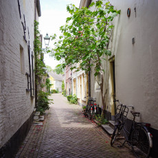 Day-trip Den Bosch 21