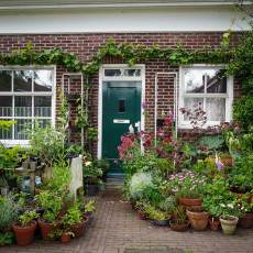 Day-trip Den Bosch 24