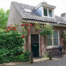 Day-trip Den Bosch 30
