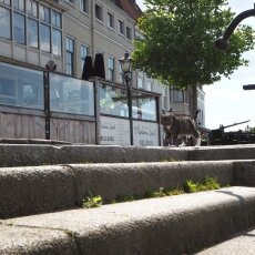 Dordrecht harbour 15