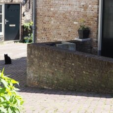 Dordrecht - old city centre 12