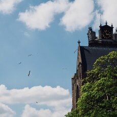 Dordrecht - old city centre 17