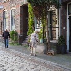 Dordrecht - old city centre 27