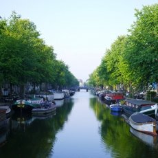 Another beautiful  and quiet canal