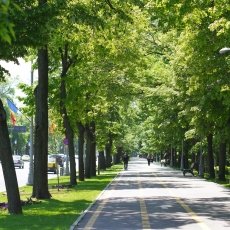 Easter in Romania 08