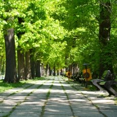 Easter in Romania 11