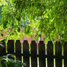 Easter in Romania 17