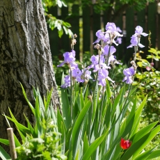 Easter in Romania 18