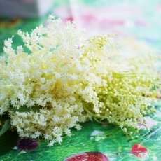 Easter in Romania 21