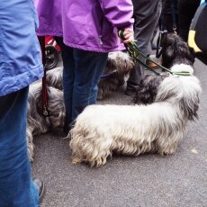 Edinburgh independence march 19
