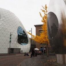 Eindhoven day-trip 05