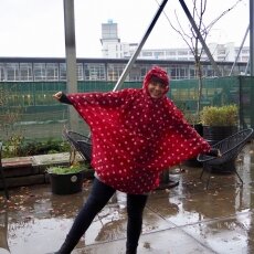 Eindhoven day-trip 14