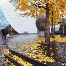 Eindhoven day-trip 20