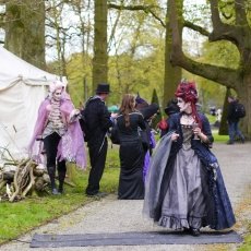 Elfia Haarzuilens 08