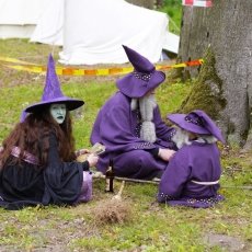 Elfia Haarzuilens 10