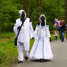 Elfia Haarzuilens 27
