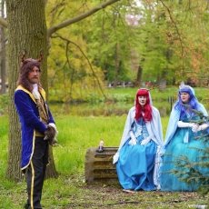 Elfia Haarzuilens 30