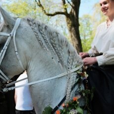 Elfia 2018 - 12
