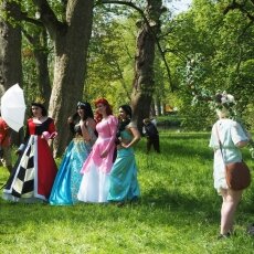 Elfia 2018 - 18