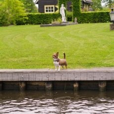 An evening in Giethoorn 04