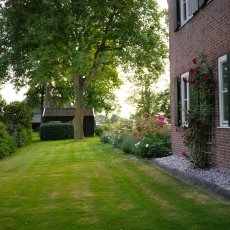 An evening in Giethoorn 19