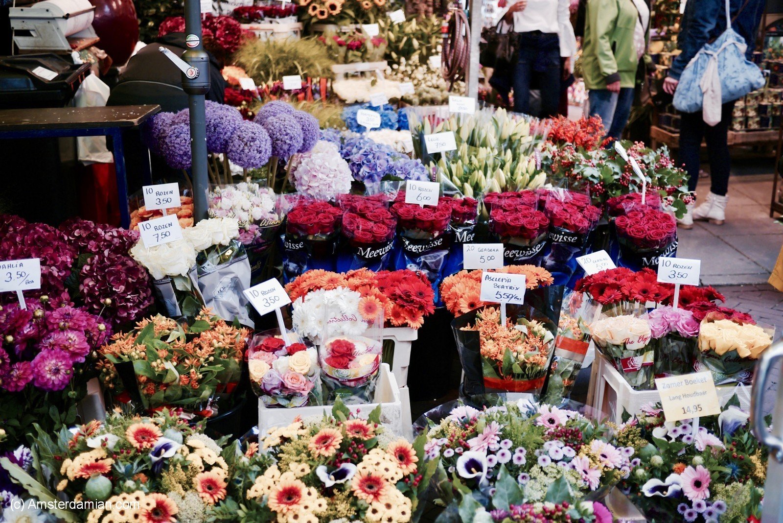 Где На Рижском Лучше Купить Цветы