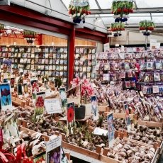 Flower Market Amsterdam 02