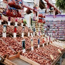 Flower Market Amsterdam 05