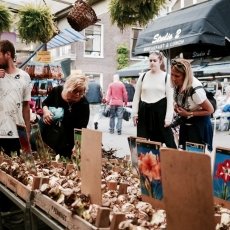 Flower Market Amsterdam 03