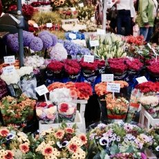 Flower Market Amsterdam 08