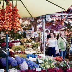 Flower Market Amsterdam 09