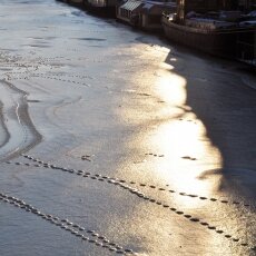 Frozen Canals Amsterdam 22
