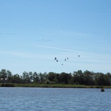 Geestmerambacht_8