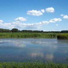 Geestmerambacht_10