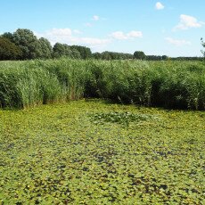 Geestmerambacht_5