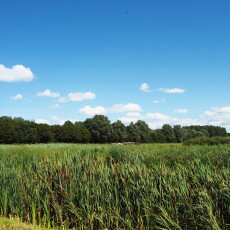Geestmerambacht_3