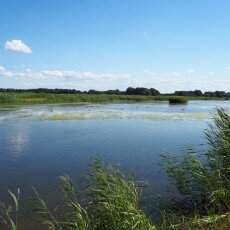 Geestmerambacht_9