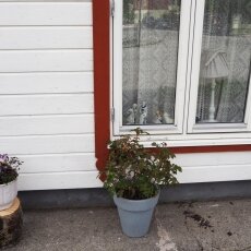 Hellesylt village 05