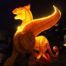 Glow Eindhoven 2018  - 26