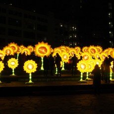 Glow 2019 Eindhoven 23