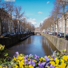 Day-trip to Gouda 06