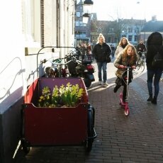 Haarlem in February 02