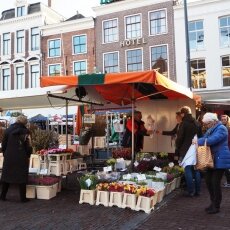 Haarlem in February 05