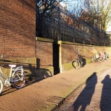 Haarlem in February 13