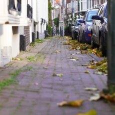 Haarlem in October 17