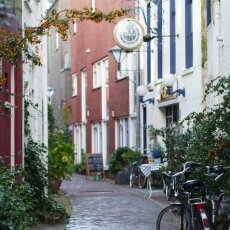 Haarlem in October 20