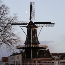 Haarlem in October 36