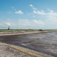 Harlingen day-trip 14