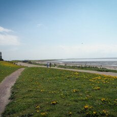 Harlingen day-trip 18